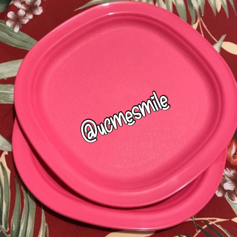 Tupperware Legacy Dessert Luncheon Square